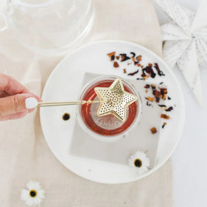 Stainless Steel Tea Infuser