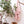 Våfflad hamam handduk rosa - Joi Living